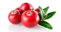 Bioturm Gel d'Hygiène Intime 'Cranberry' N°91, 250 ml - Boutique en ligne  Ecco Verde